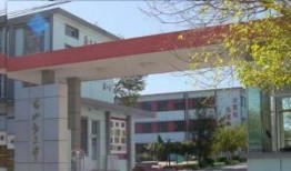 咸水沽二中爆料事件最新,真相揭开，校园风波再起